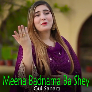 Meena Badnama Ba Shey