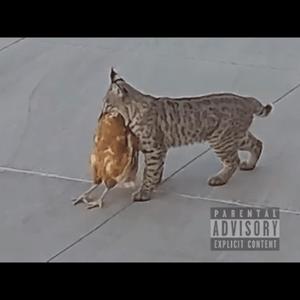 Bobcats (feat. Pfeezy) (Explicit)