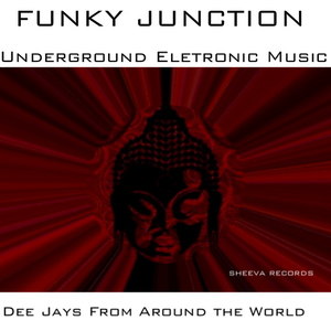 Run Baby (Antony Reale & Funy Junction DUB Rmx)