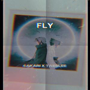 Fly (feat. Tae Slee) (Explicit)