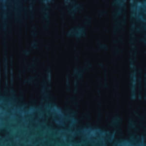 okay. (feat. hayds) (Explicit)