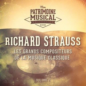 Les grands compositeurs de la musique classique : Richard Strauss, Vol. 2