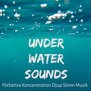 Under Water Sounds - Musica Spa Rilassante per Respiro Profondo Tecniche di Meditazione Salute e Benessere con Suoni New Age della Natura Strumentali