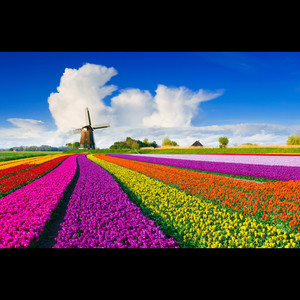 Beginning of Brilliance