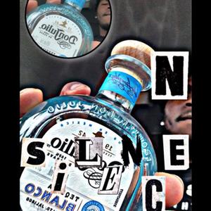 In Silence (feat. Sku!ly5) (Explicit)