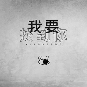 我要找到你 (DJ版)