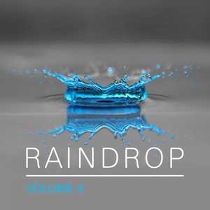 Raindrop, Vol. 4