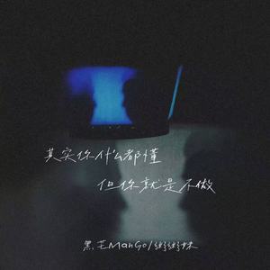 其实你什么都懂 但你就是不做