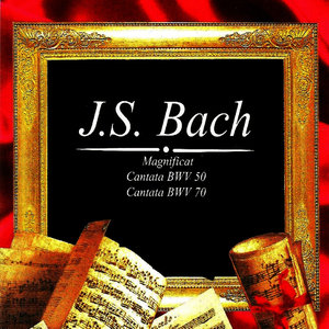 Magnificat , BWV 243	 - 10. Suscepit Israel (圣母颂歌，作品243 - 第10首 他扶助了他的仆人以色列)
