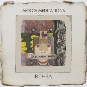 Moog Meditations, Vol. 2