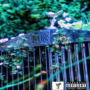 Panoramic (Explicit)