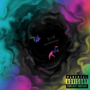 MISUNDERSTOOD (Explicit)