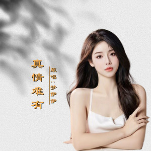 真情难有DJ (伴奏)封面