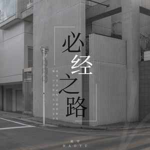 必经之路封面