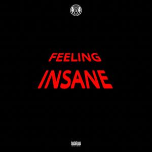 Feeling Insane (Explicit)