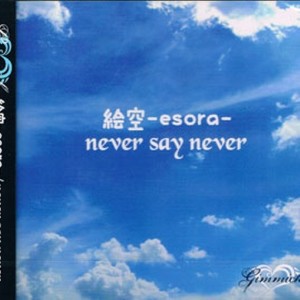 絵空-esora- / never say never