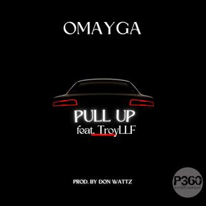 Pull Up (feat. Troyllf) [Explicit]