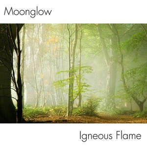 Moonglow