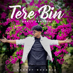 Tere Bin (Reply Version)