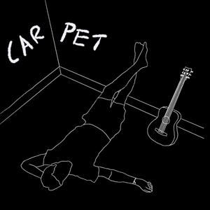 Carpet (Acoustic)