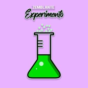 Experimento