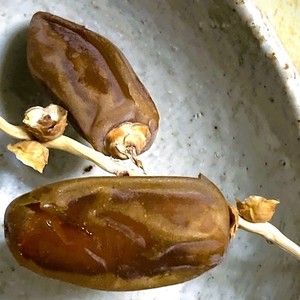 冷たくしないで（Don't Be Cruel）