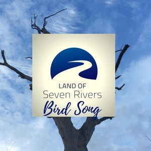 Bird Song