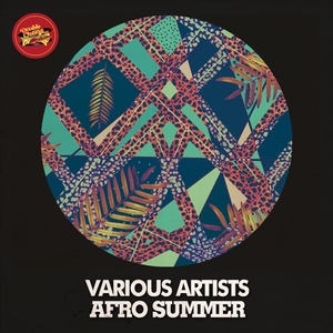 Won't Give Up (Yuichi 's Afro Dub)