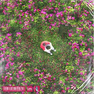 The Vision (Interlude) (Explicit)