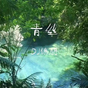 青丝 (DJ德朋版伴奏|0.8)封面