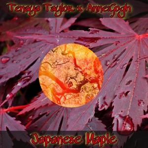 Japanese Maple (feat. Tenaya Taylor) [final mix] [Explicit]