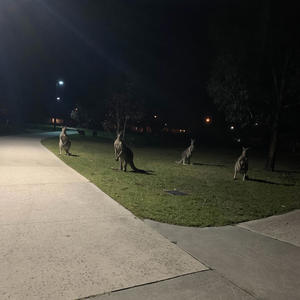 Lights Out (Explicit)