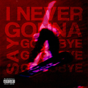 I Never Gonna Say Goodbye (Explicit)