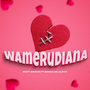 Wamerudiana