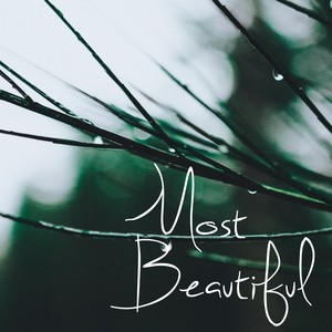 Most Beautiful