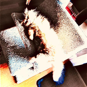 shoulder shruggin (Explicit)