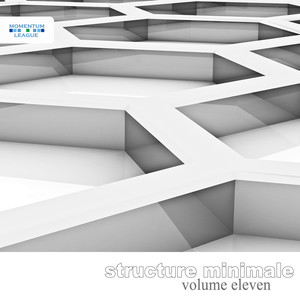 Ronin (Tobsucht.fx Old Science Remix)