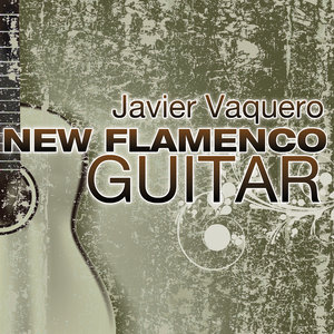 New Flamenco Guitar