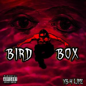 Bird Box (Explicit)