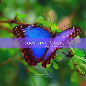 Soothing Music - Instrumental World. Vol. 5