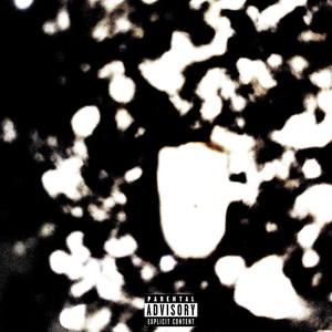 Are You Seeing This? (Explicit)