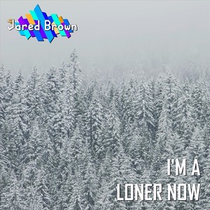 I'm a Loner Now