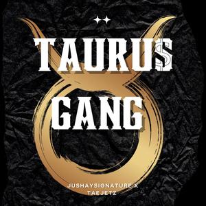 TAURUS GANG (feat. Tae Jetz) [Explicit]