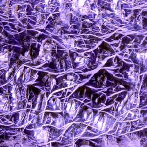 Nuit des Musiques Experimentales #5 (Reunion Island) (Live record)