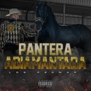 Pantera Adiamantada