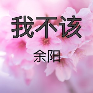 我不该