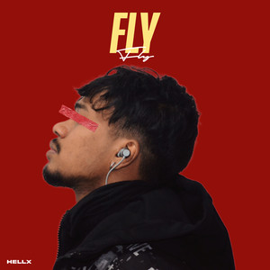 Fly