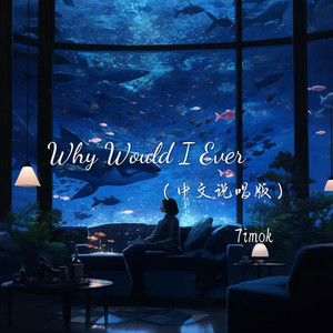 Why Would I Ever (中文说唱版)
