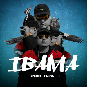 Ibama (Explicit)