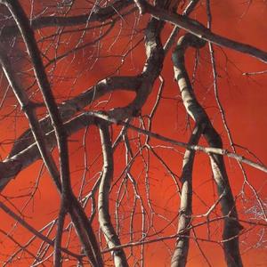 Tokyo Drift (Explicit)